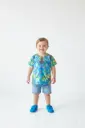 Toddler T-shirt 