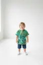 Toddler T-shirt 